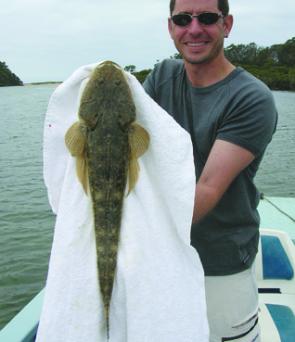The Bega River is home to many dusky flathead, which can be taken on lures and bait around weed beds and sandy drop-offs.